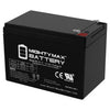Mighty Max ML15-12 12V 15Ah F2 Terminal Rechargeable SLA AGM Battery