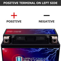 Mighty Max YTX16-BS GEL 12V 14Ah SLA AGM Motorcycle Battery