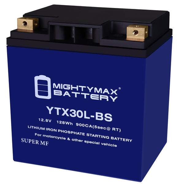 Mighty Max Battery YTX30L-BS 12V 30Ah LiFePO4 Deep Cycle Battery