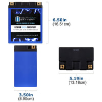 Mighty Max YTX14AHL-BS 12.8V 12Ah LiFePO4 PowerSport Battery