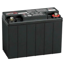 Genesis 12V 13Ah AGM EP Series High-Performance Sealed Lead-Acid Battery
