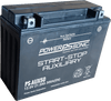 Power Sonic PS-AUX50 High Performance Start Stop Auxiliary AGM Battery