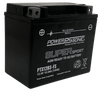 Power-Sonic PTX12 AGM Maintenance Free Factory Activated Powersport Battery