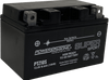 Power Sonic PTZ10S Super Sport AGM Maintenance Free Powersport Battery