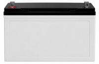 Duracell Ultra 12V 100AH Deep Cycle AGM Sealed Lead Acid (SLA) Battery with P Terminals